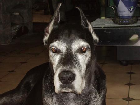 ma nounette d'amour MARINE